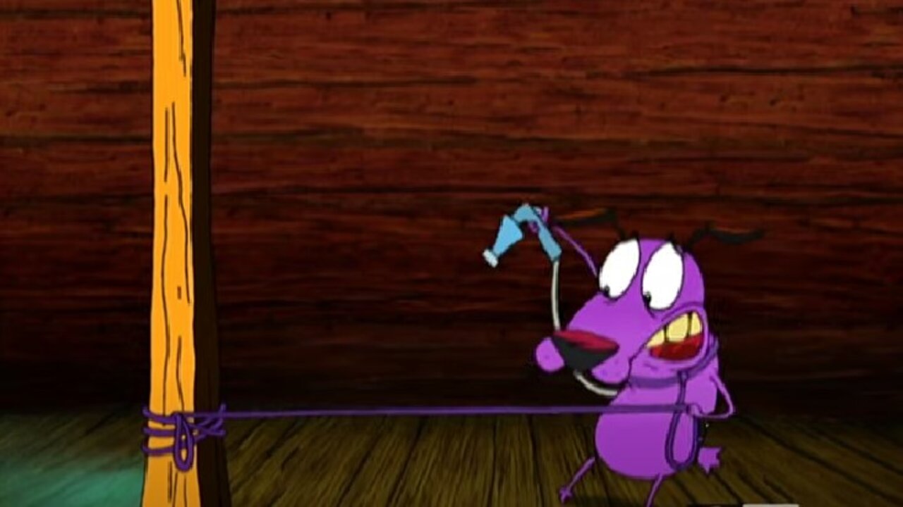 A Night at the Katz Motel ( Cartoon Network UK) A Night at the Katz Motel ( Cartoon Network UK)