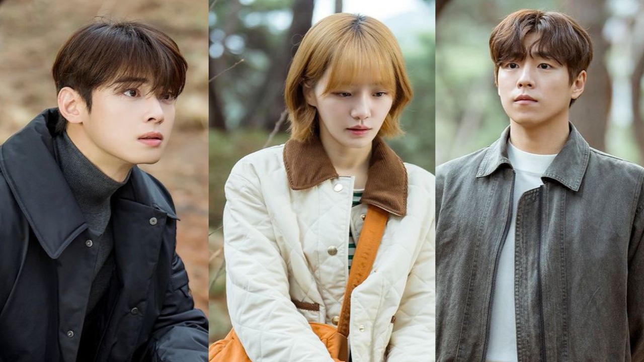 A Good Day to Be a Dog Ep 13 review: Cha Eun Woo, Park Gyu Young reunite; Lee Hyun Woo gets closure