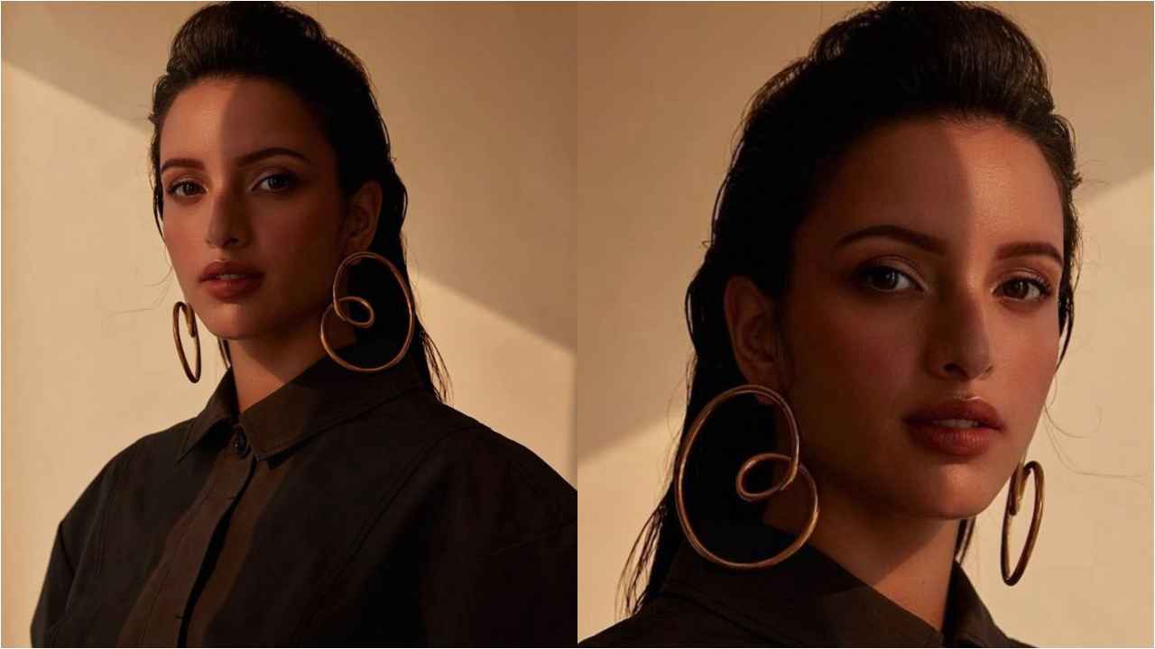 Triptii Dimri's 5 Beautiful Embellishments With Pretty Hoops, you can consider wearing them