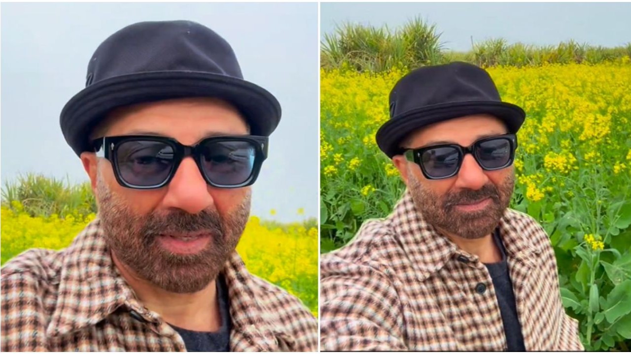 WATCH: Gadar 2's Sunny Deol enjoys scenic beauty of lush mustard fields amidst shoot diaries; 'Work mode on'