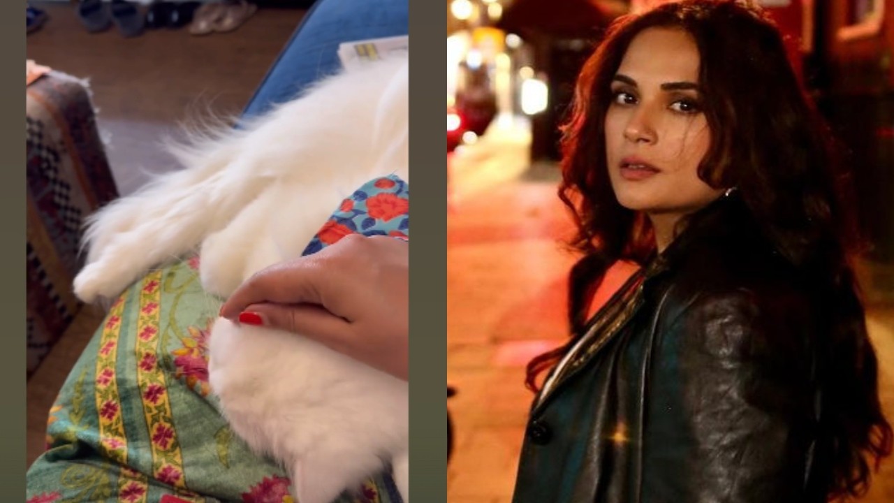 WATCH: Mom-to-be Richa Chadha drops glimpse of her baby bump with 'cute and veiny' companion