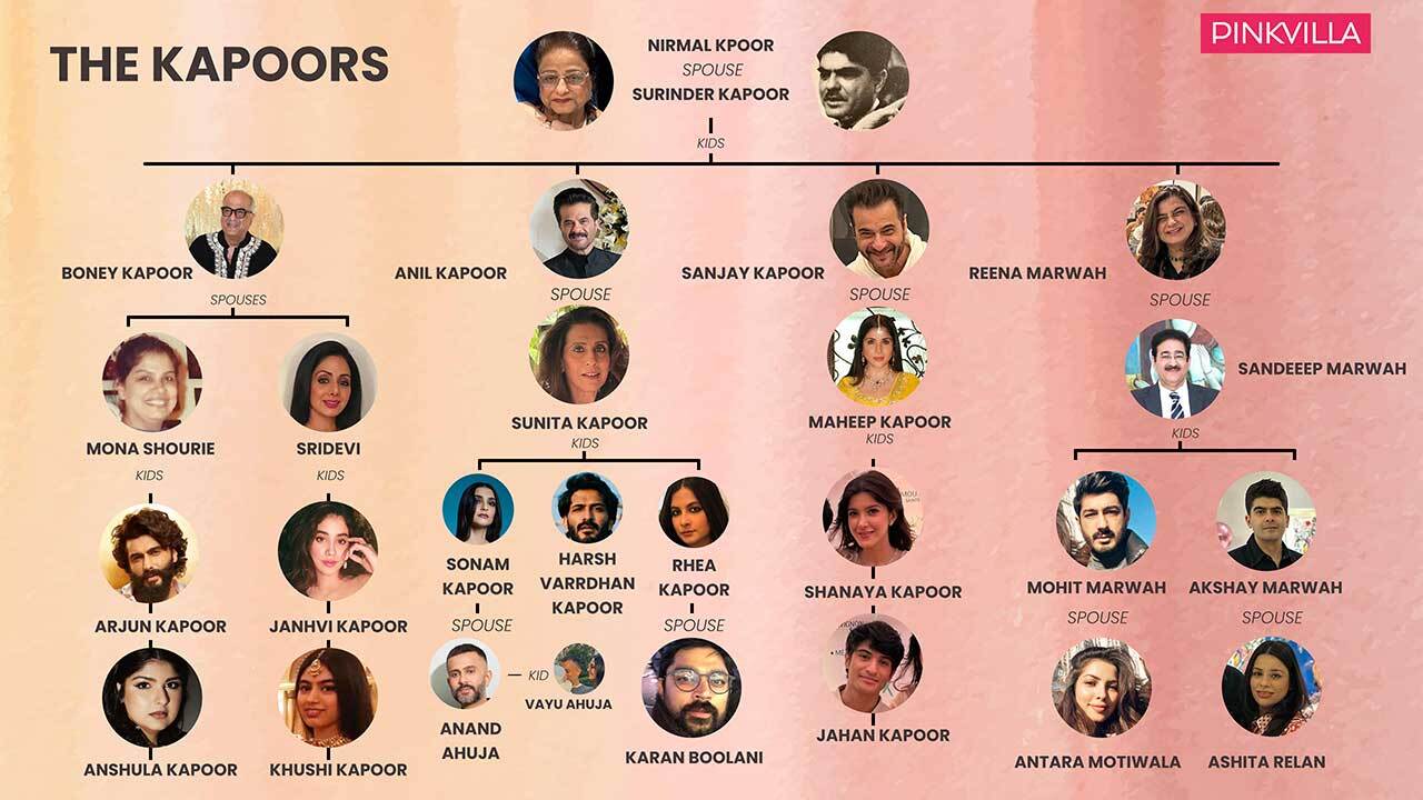 Picture Courtesy: Pinkvilla