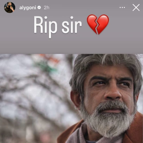 PC: Aly Goni (Instagram)