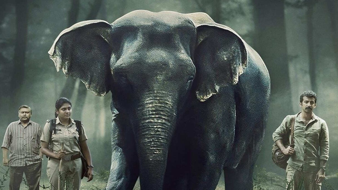 Poacher Review: Alia Bhatt's production venture on illegal ivory trade rewards your attention and patience