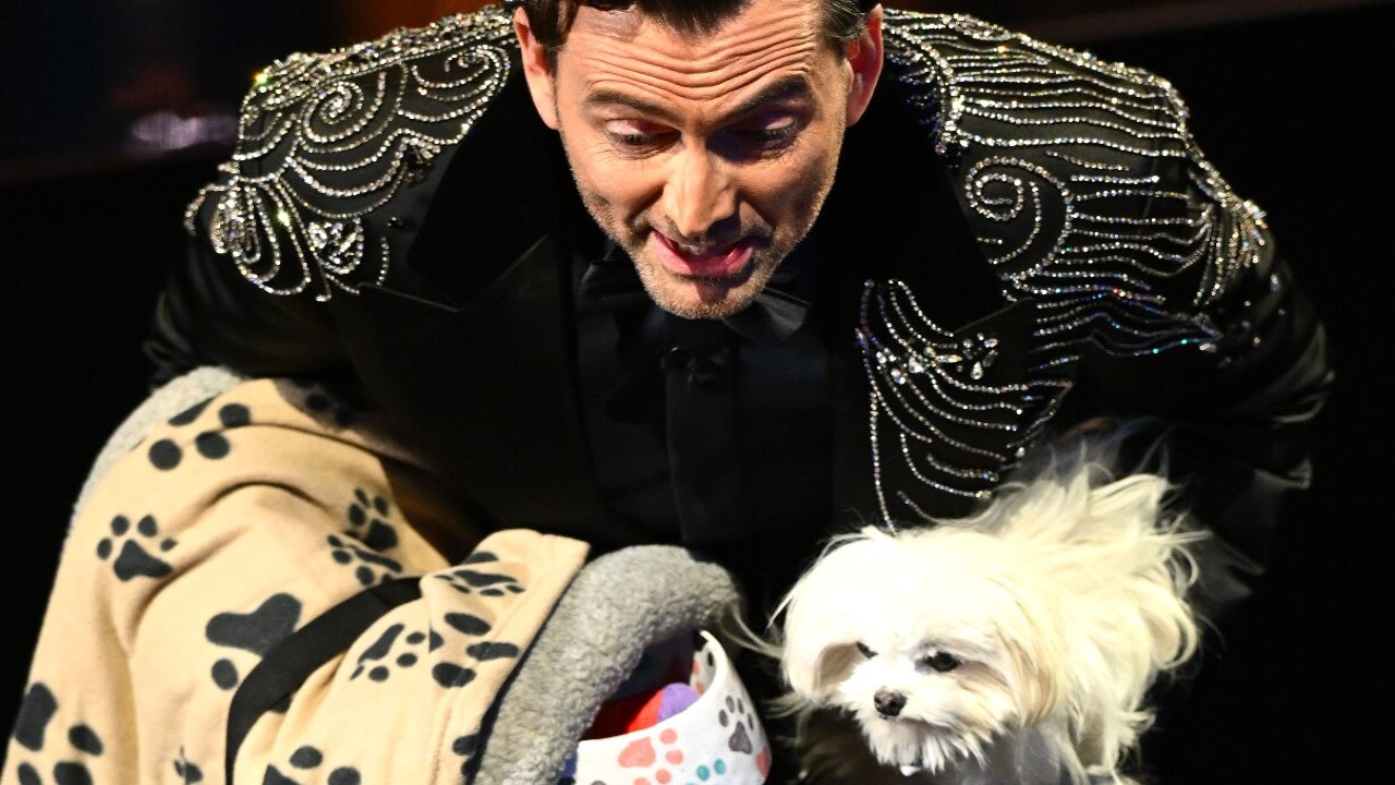 BAFTAs 2024: Top 8 Viral Moments From The Ceremony; From David Tennant Dog Sitting To Murder On The Dance Floor Performance