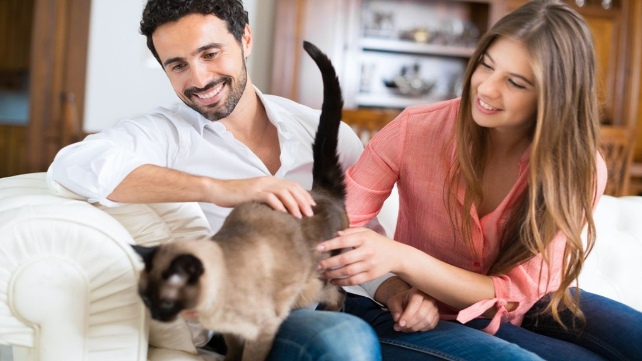 Zodiac Signs Who Willingly Share Pet-care Duties with Their Spouse
