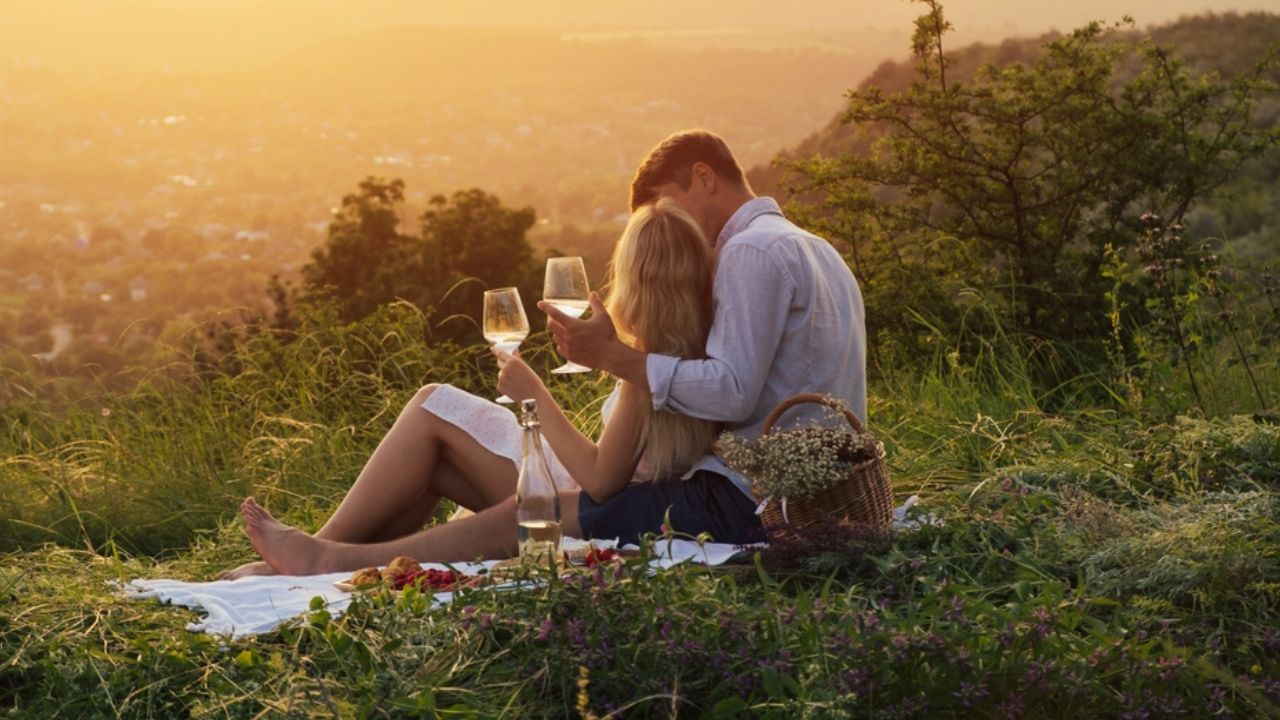 Date Ideas for Introverts Picnic