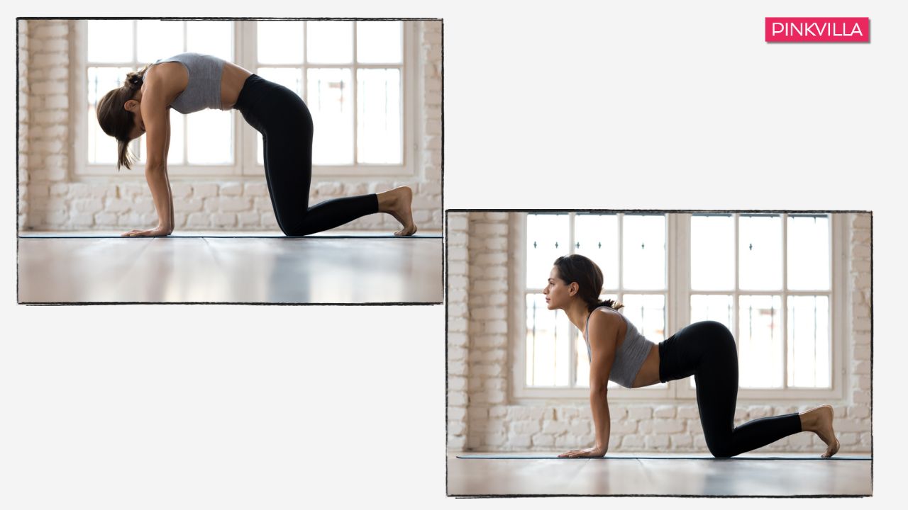 yoga for tinnitus Cat-Cow Stretch (Marjaryasana-Bitilasana) yoga for tinnitus Cat-Cow Stretch (Marjaryasana-Bitilasana)