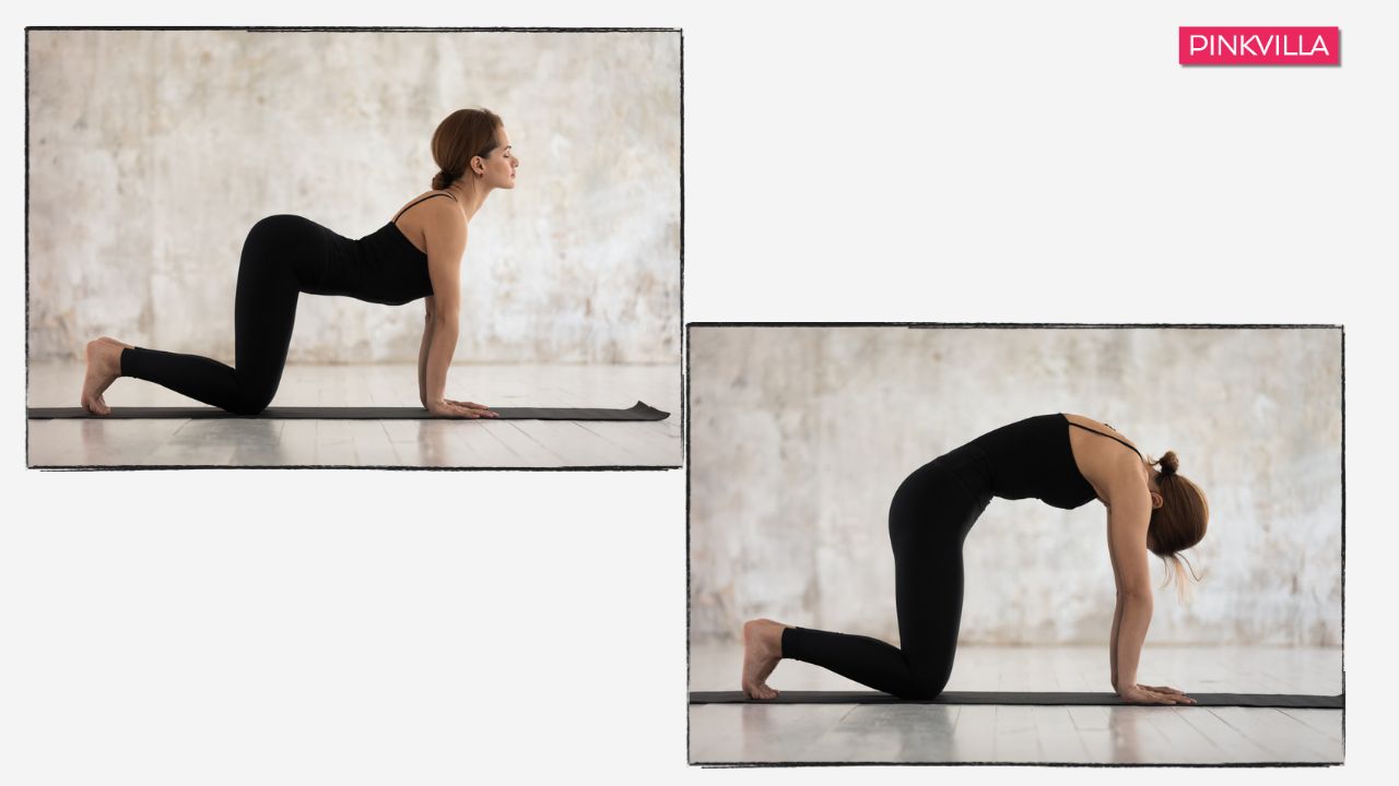 How Does Yoga Help with Bowel Movement