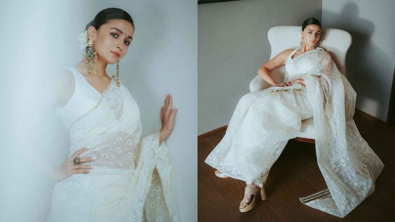 Alia Bhatt's semi-sheer patterned saree