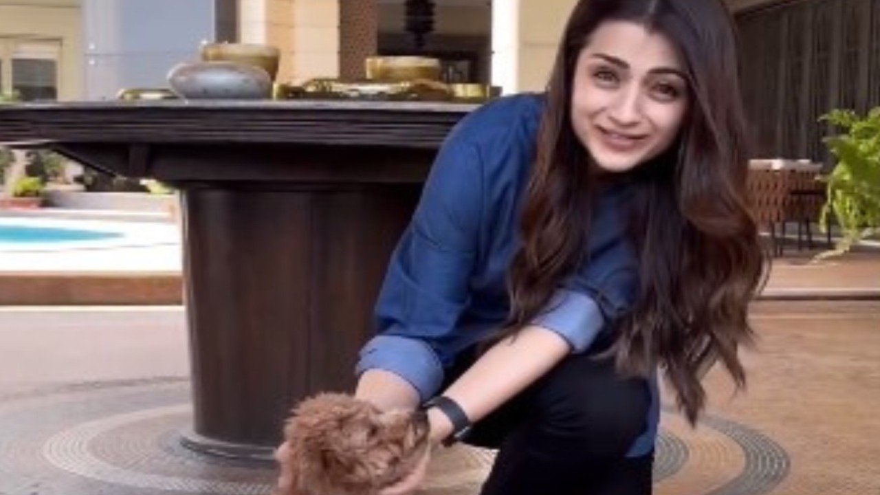VIDEO: Trisha enjoys fun play time with Ram Charan’s pet Rhyme amidst Vishwambhara shoot