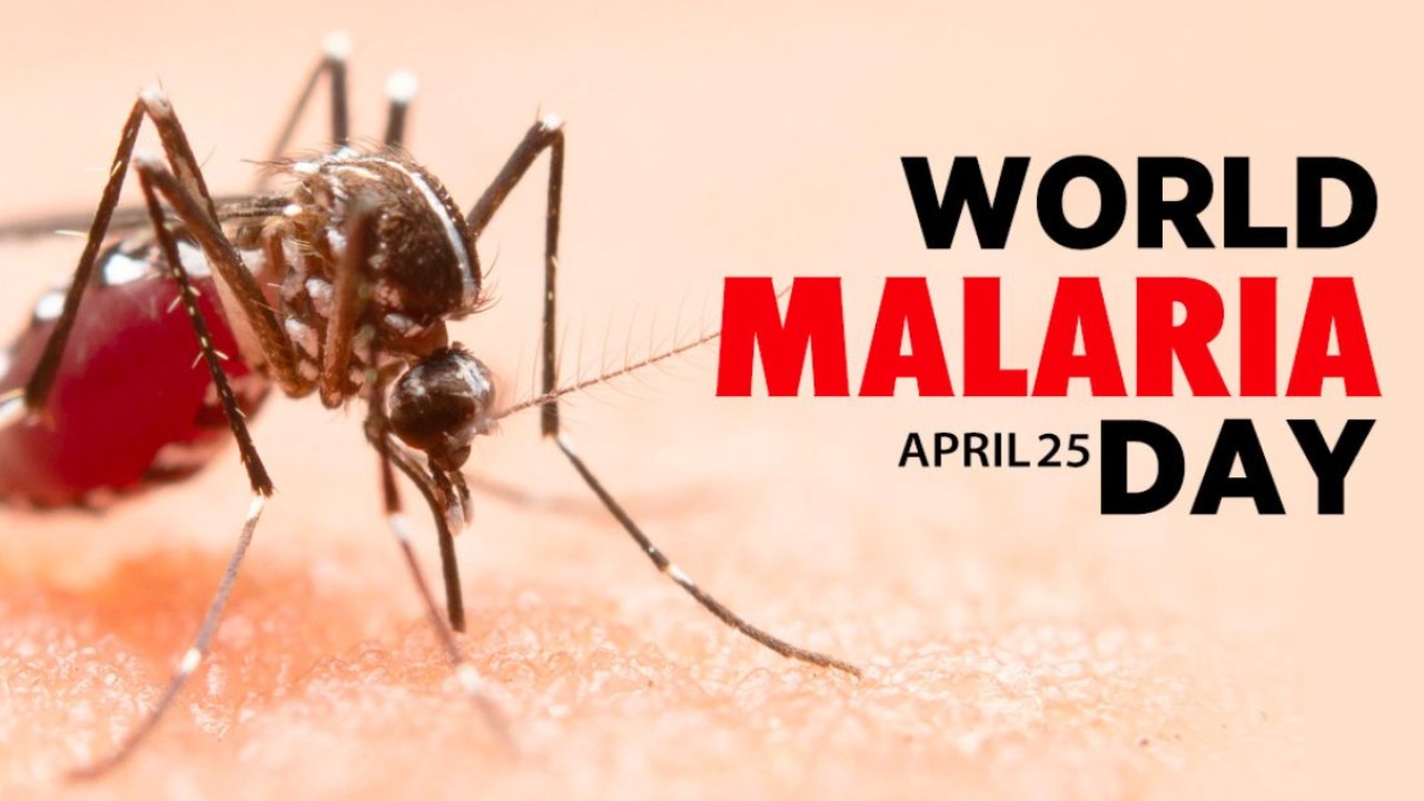 World Malaria Day 2024: All You Need to Know About Theme, History, And Its Significance