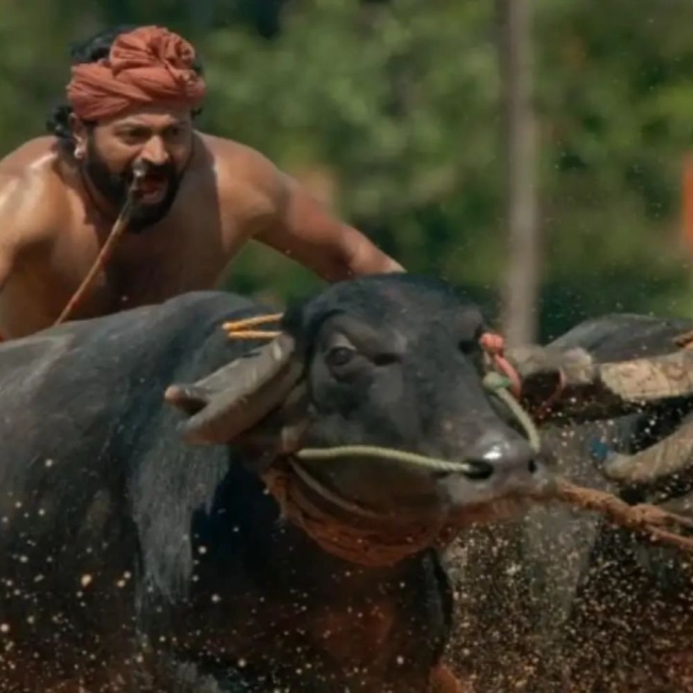 Box Office: Can Rishab Shetty's Kantara clock Rs 100 crore in Hindi?