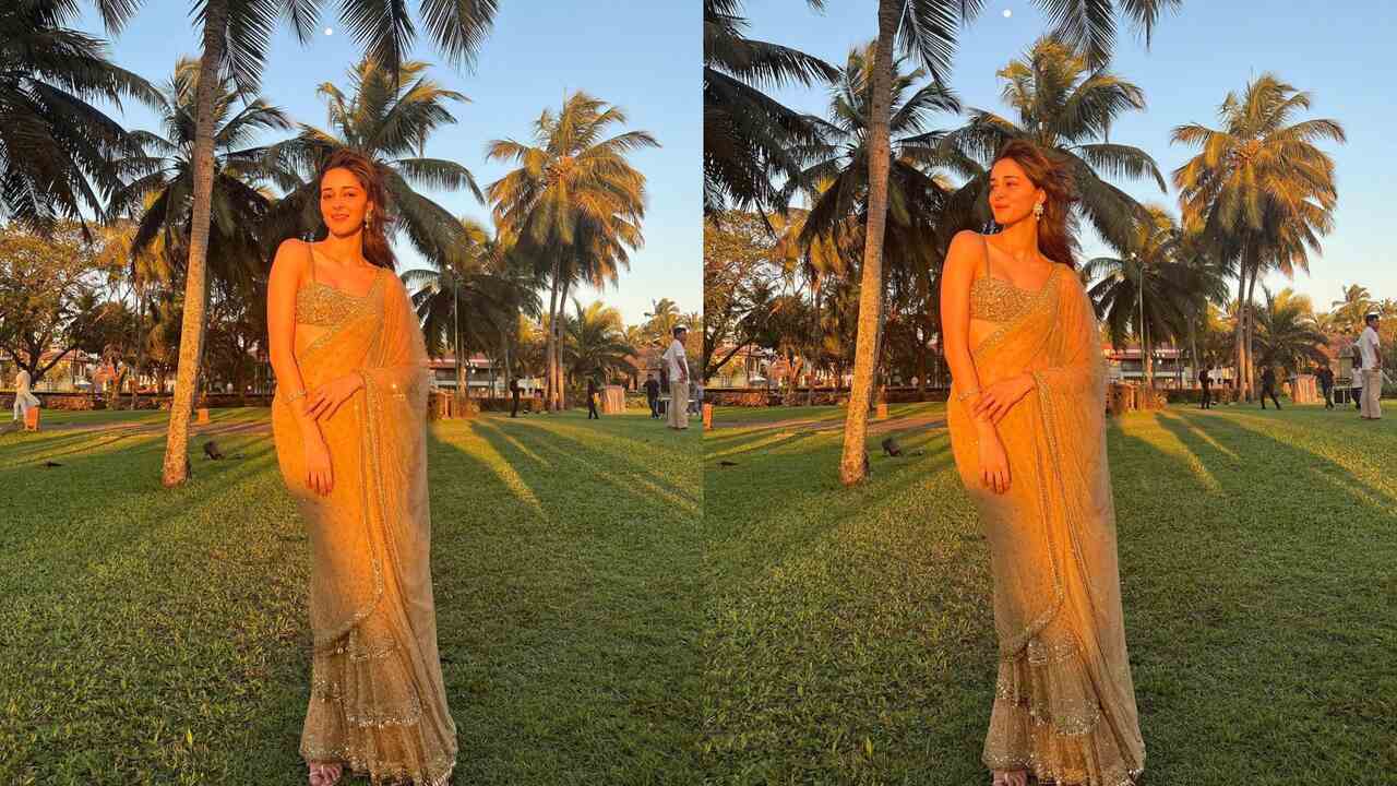 Ananya Panday ( Ananya Panday Instagram )