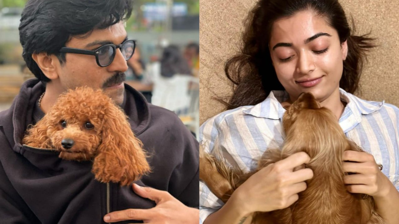 Ram Charan, Samantha Ruth Prabhu to Rashmika Mandanna: Meet pets of your favorite celebs