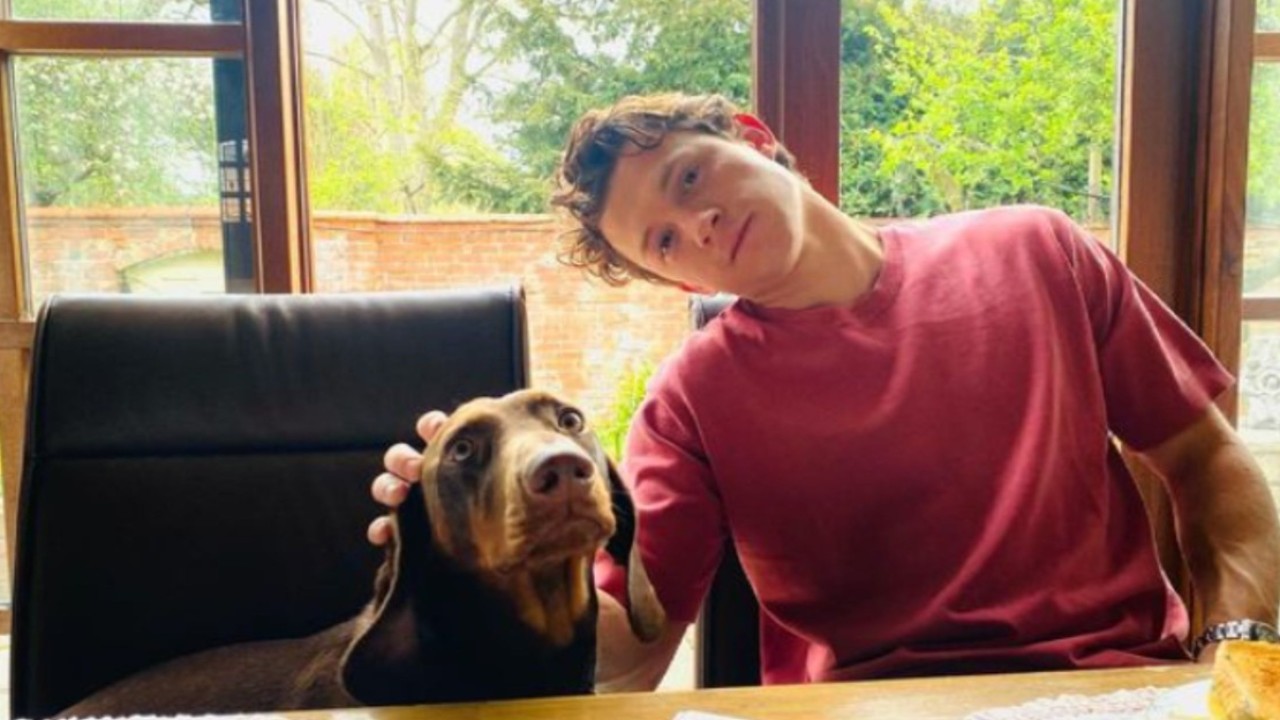 'Missing My Lady': Tom Holland Pays Tribute To Beloved Pet Dog Tessa After Her Passing