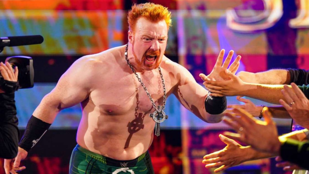 Why Did Sheamus Delete His Post After Crediting Gable Steveson For His Comeback In WWE? Read 