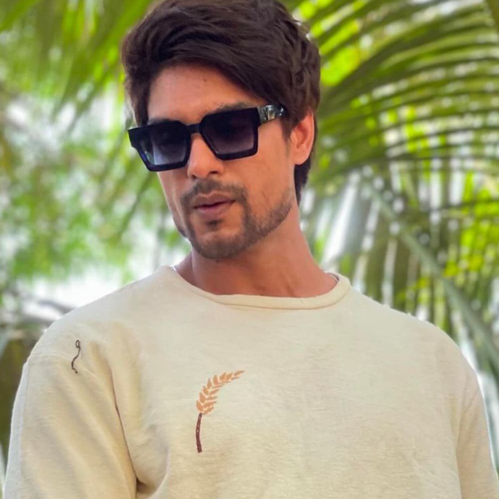 EXCLUSIVE VIDEO: Ankit Gupta reveals reason behind taking up Maati Se Bandhi Dor over Khatron Ke Khiladi EXCLUSIVE VIDEO: Ankit Gupta reveals reason behind taking up Maati Se Bandhi Dor over Khatron Ke Khiladi