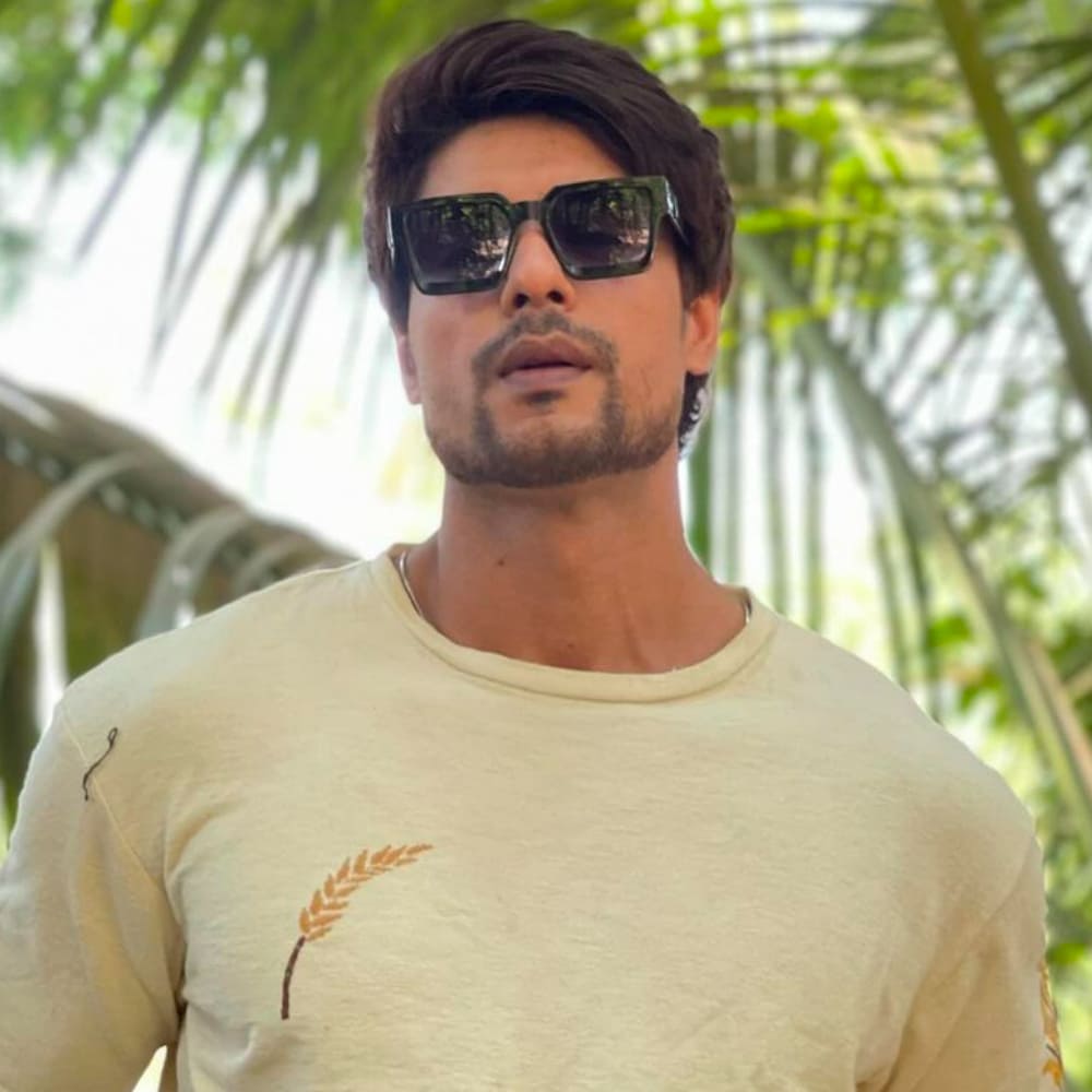 EXCLUSIVE VIDEO: Is Ankit Gupta in any kind of situationship at present? Actor gives interesting reply EXCLUSIVE VIDEO: Is Ankit Gupta in any kind of situationship at present? Actor gives interesting reply