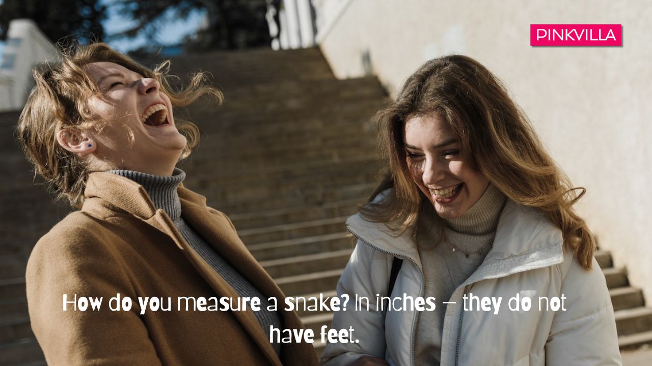 Funny Jokes to Tell Your Friends