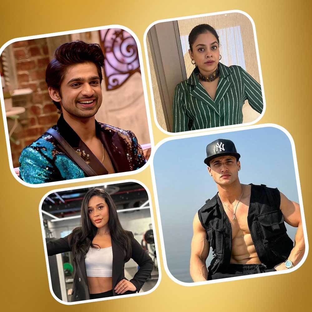 Khatron Ke Khiladi 14: Abhishek Kumar, Asim Riaz to Sumona Chakravarti; net worth of CONFIRMED contestants Khatron Ke Khiladi 14: Abhishek Kumar, Asim Riaz to Sumona Chakravarti; net worth of CONFIRMED contestants