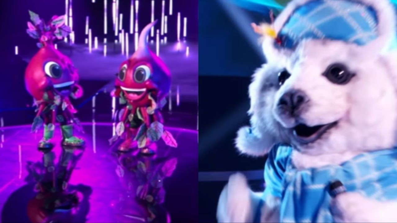 The Masked Singer Unveils Celebrities Behind The Seal And Beets: Here's Who's Behind The Disguises