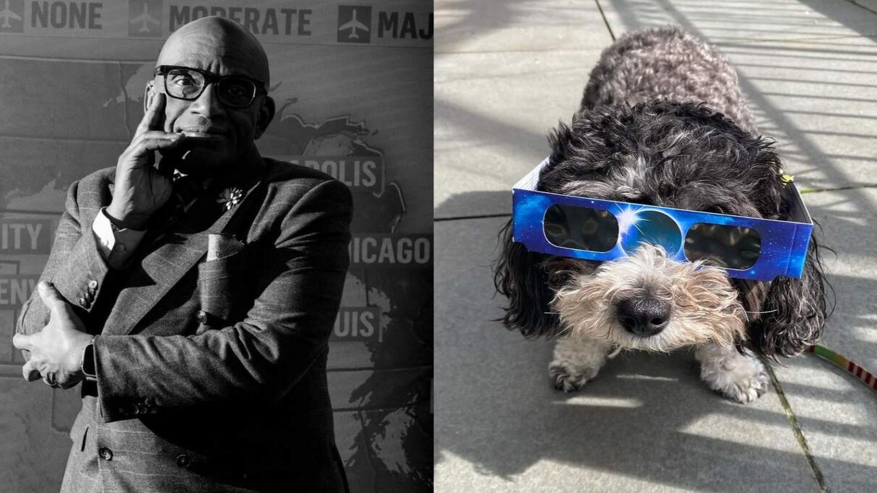 Al Roker Provides Updates on Pet Dog’s Recovery Following Emergency Surgery Al Roker Provides Updates on Pet Dog’s Recovery Following Emergency Surgery