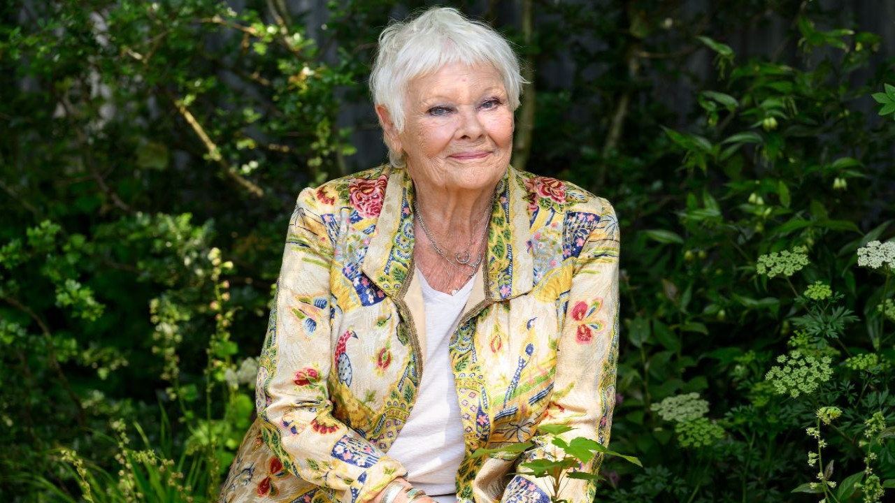 Judi Dench Weighs On Her Discomfort With Trigger Warnings
