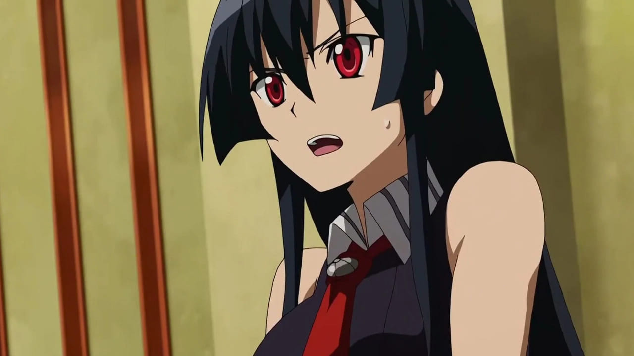 Akame - Akame ga Kill! [PC - Crunchyroll]