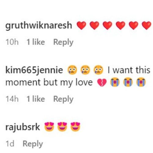 Fans react to Vijay and Rashmika's picture