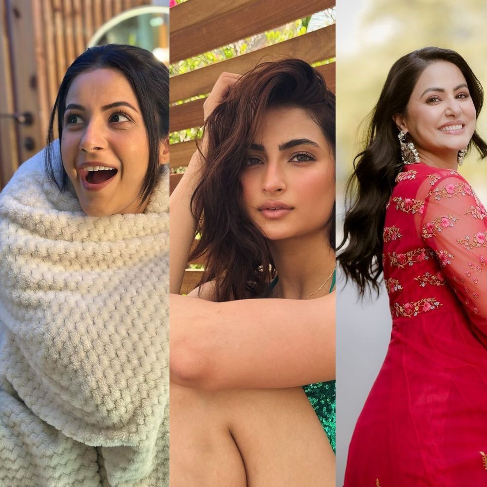 Shehnaaz Gill, Palak Tiwari, Hina Khan, and more telly stars swear by THESE Indian dish...