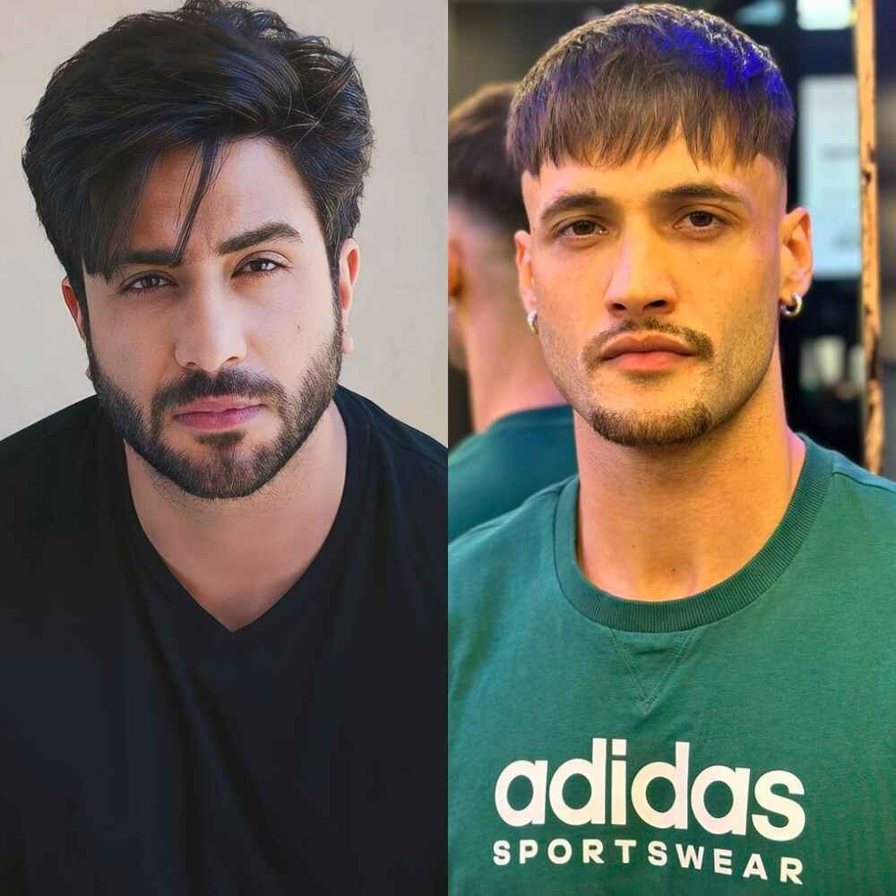 Aly Goni DEFENDS Asim Riaz against his fight with Abhishek Kumar in Khatron Ke Khiladi ...