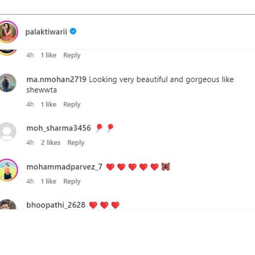 Palak Tiwari Instagram