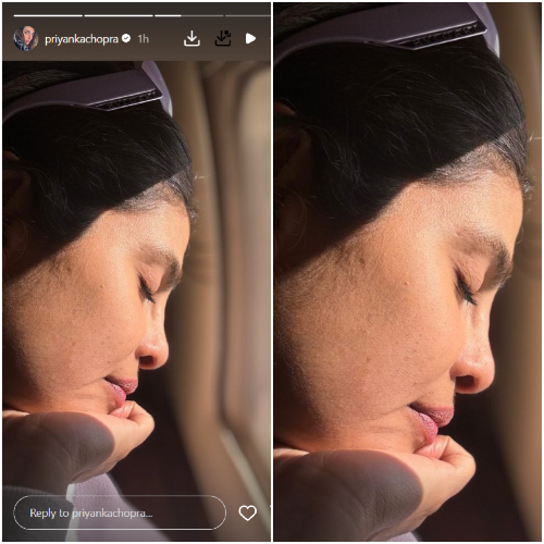 Pic Courtesy: Priyanka Chopra Instagram