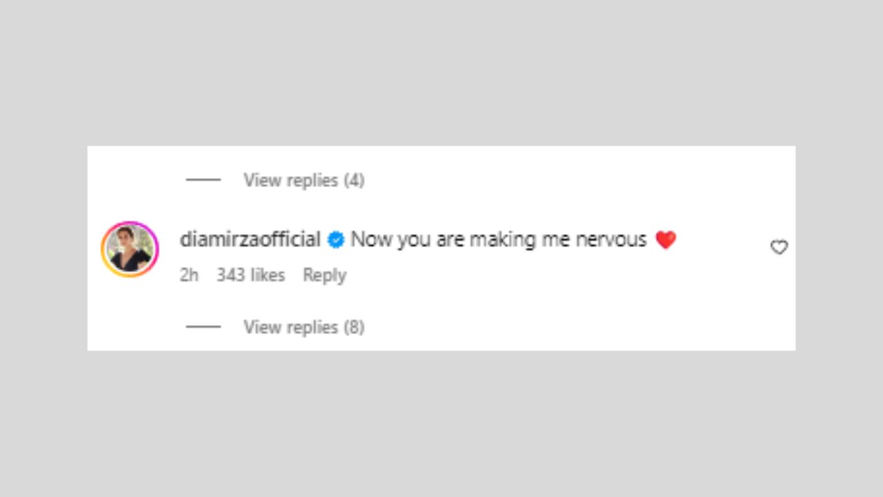 Dia Mirza's comment