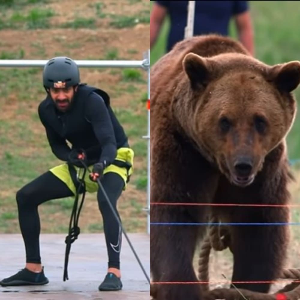 Khatron Ke Khiladi 14 PROMO: Karan Veer Mehra's hilarious bear stunt leaves contestants in splits Khatron Ke Khiladi 14 PROMO: Karan Veer Mehra's hilarious bear stunt leaves contestants in splits