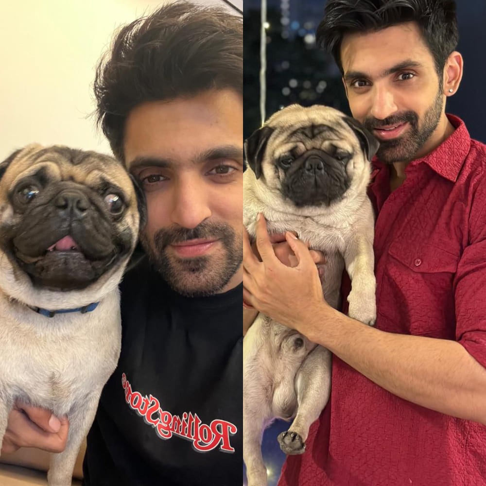 International Dog Day 2024 EXCLUSIVE: Kaise Mujhe Tum Mil Gaye's Arjit Taneja on his pe...