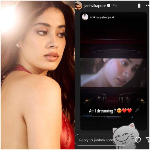 Picture courtesy: Janhvi Kapoor/Instagram