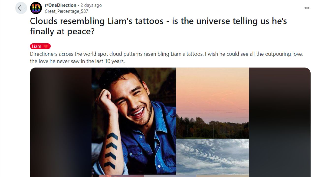 Liam Payne fans seemingly spotted cloud resembling his tattoo (via Reddit)