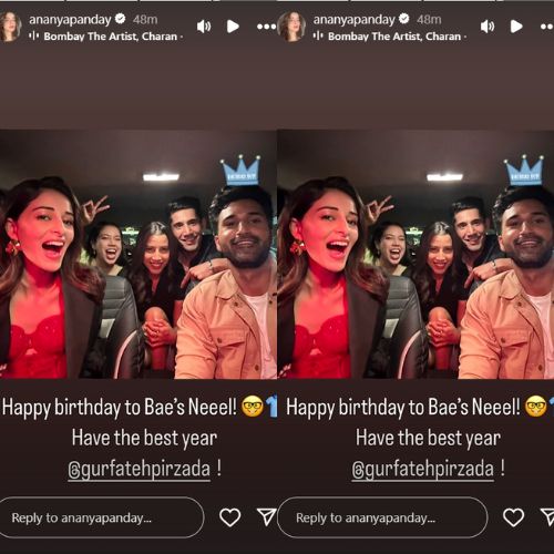 Picture Courtesy: Ananya Panday Instagram story