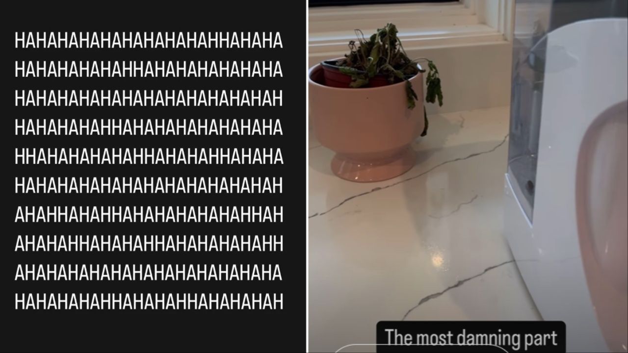 قصص ستيف كازي على إنستغرام 