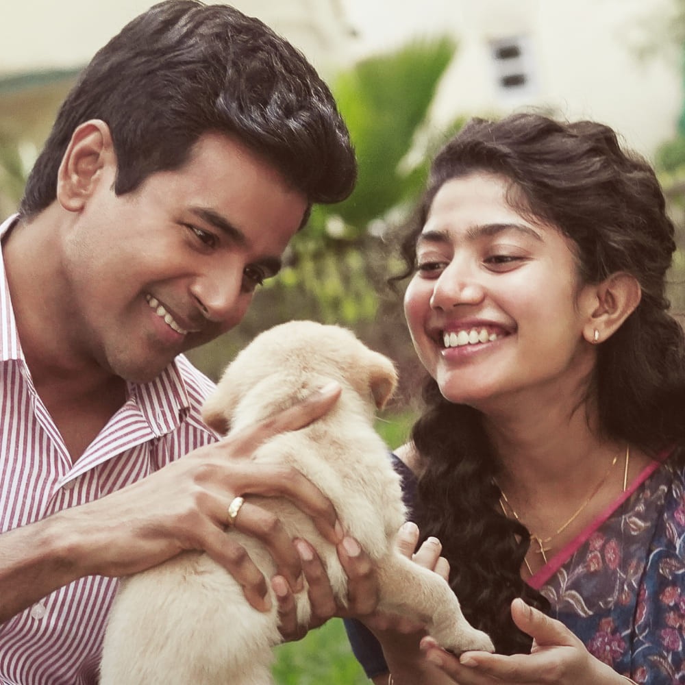 Sivakarthikeyan and Sai Pallavi starrer Amaran to premiere on OTT after five-week run i... Sivakarthikeyan and Sai Pallavi starrer Amaran to premiere on OTT after five-week run i...