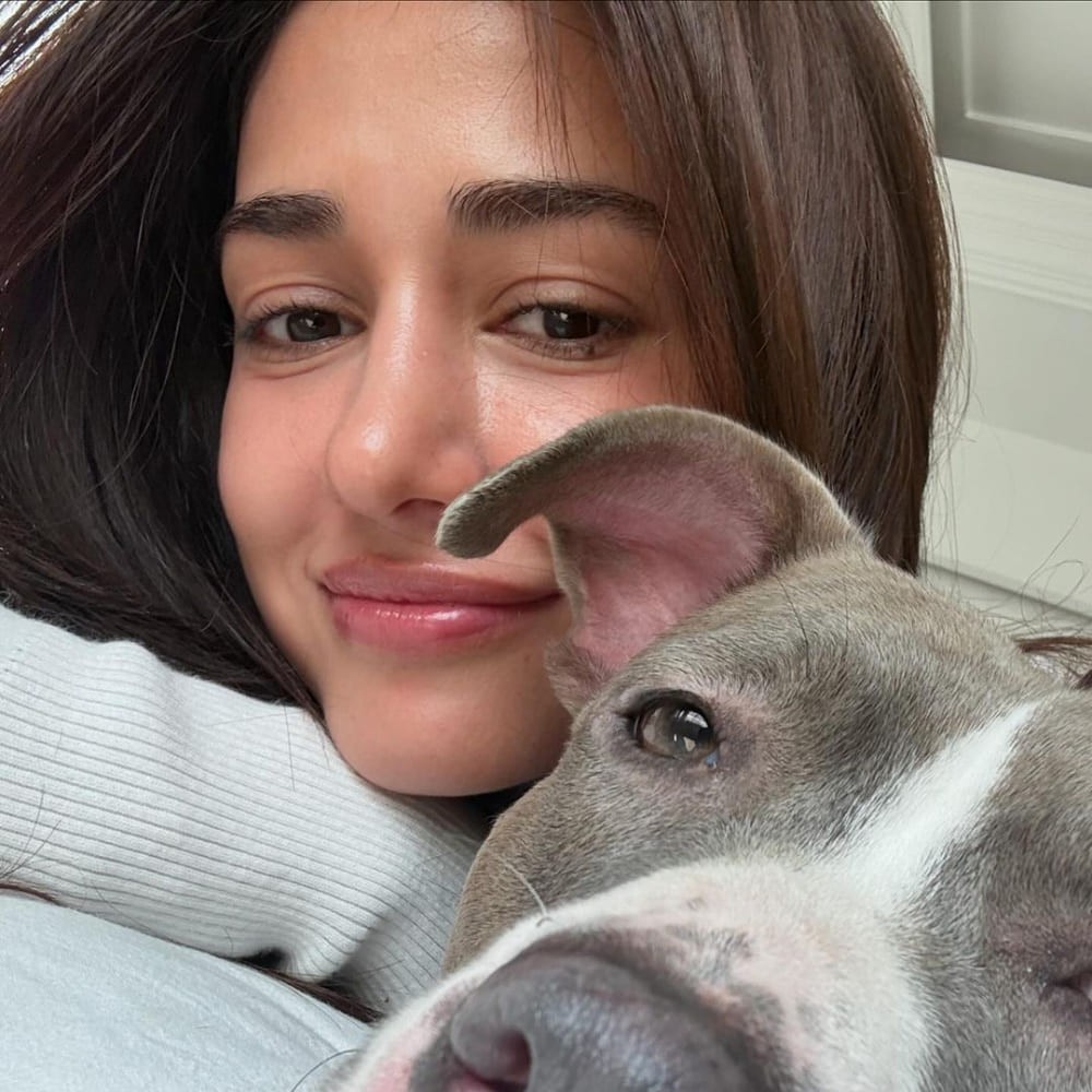 Disha Patani’s 9-step on-the-go makeup look is the ultimate lifesaver for those rushed ...