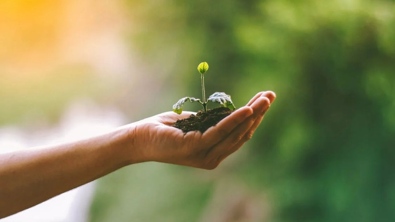 Kindness quotes