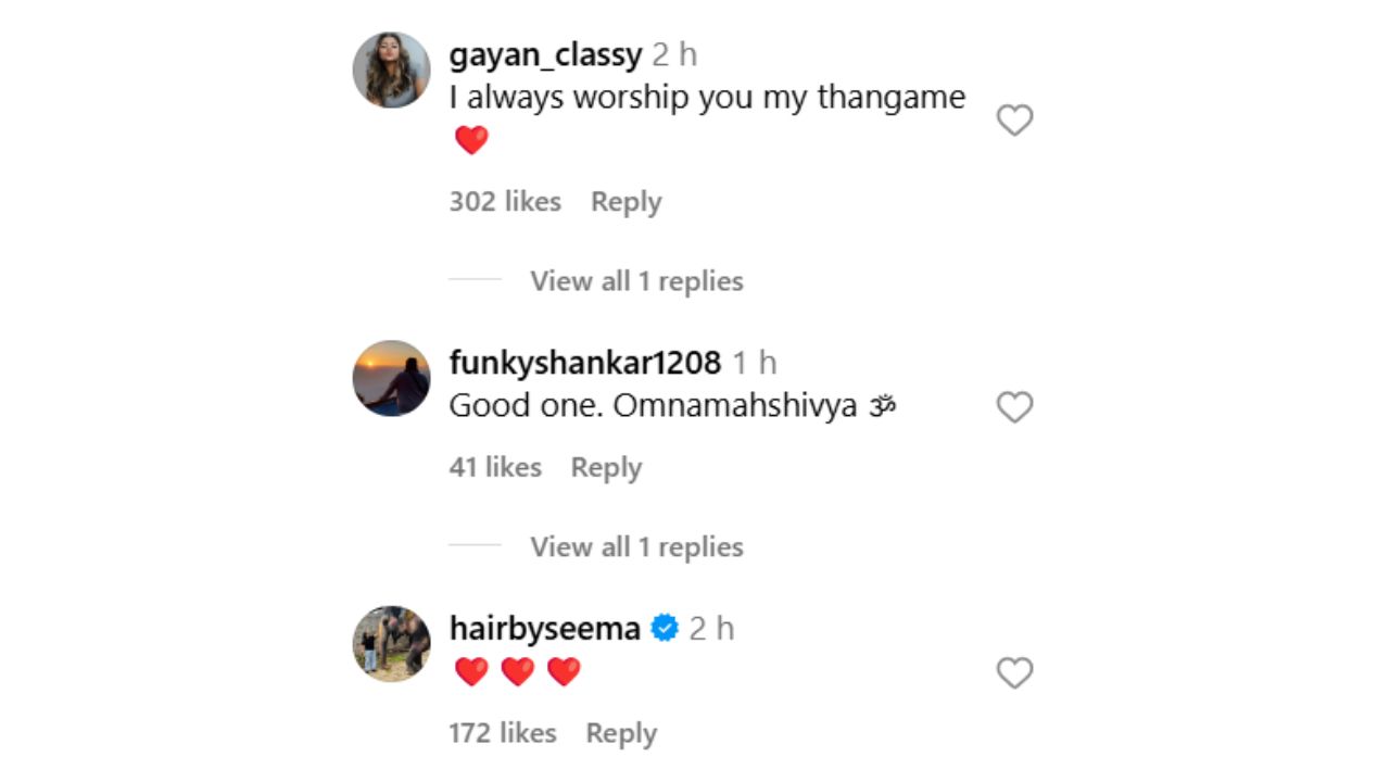 fans