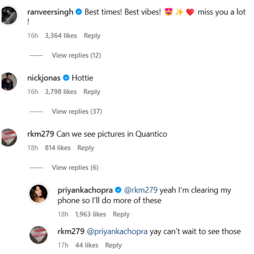 Pic Courtesy: Priyanka Chopra Instagram