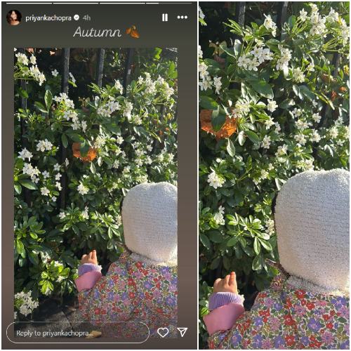 Pic Courtesy: Priyanka Chopra Instagram