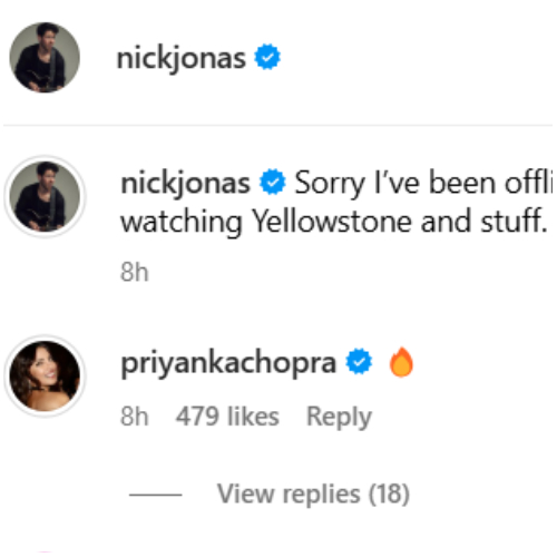 Pic Courtesy: Nick Jonas Instagram