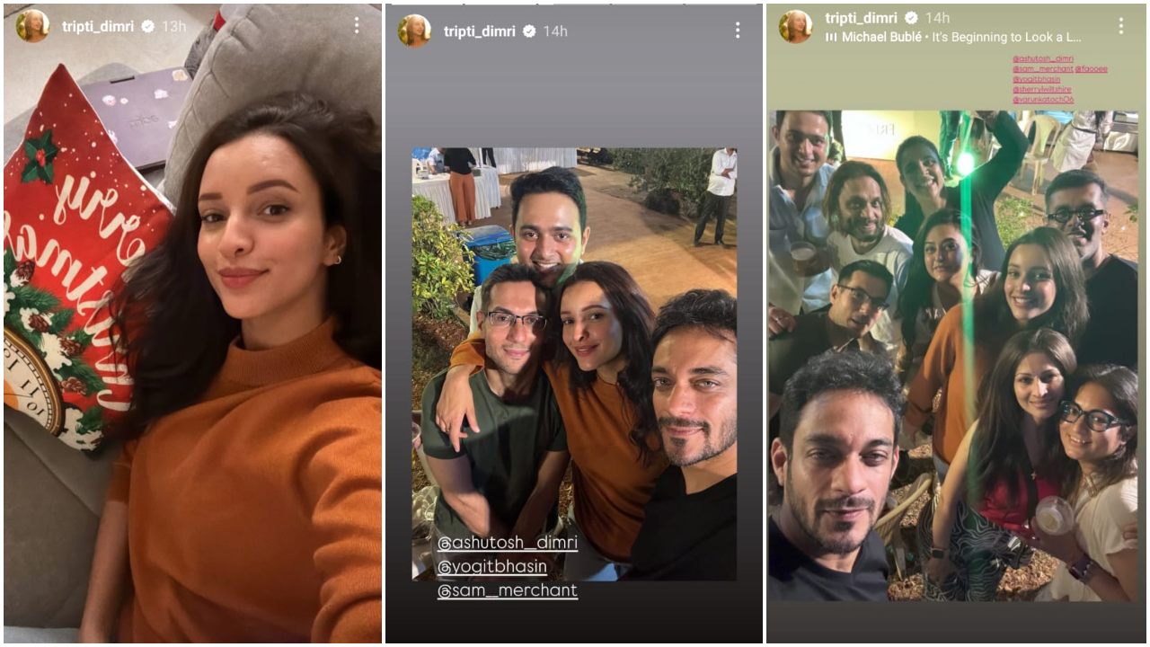Pic Courtesy: Triptii Dimri Instagram