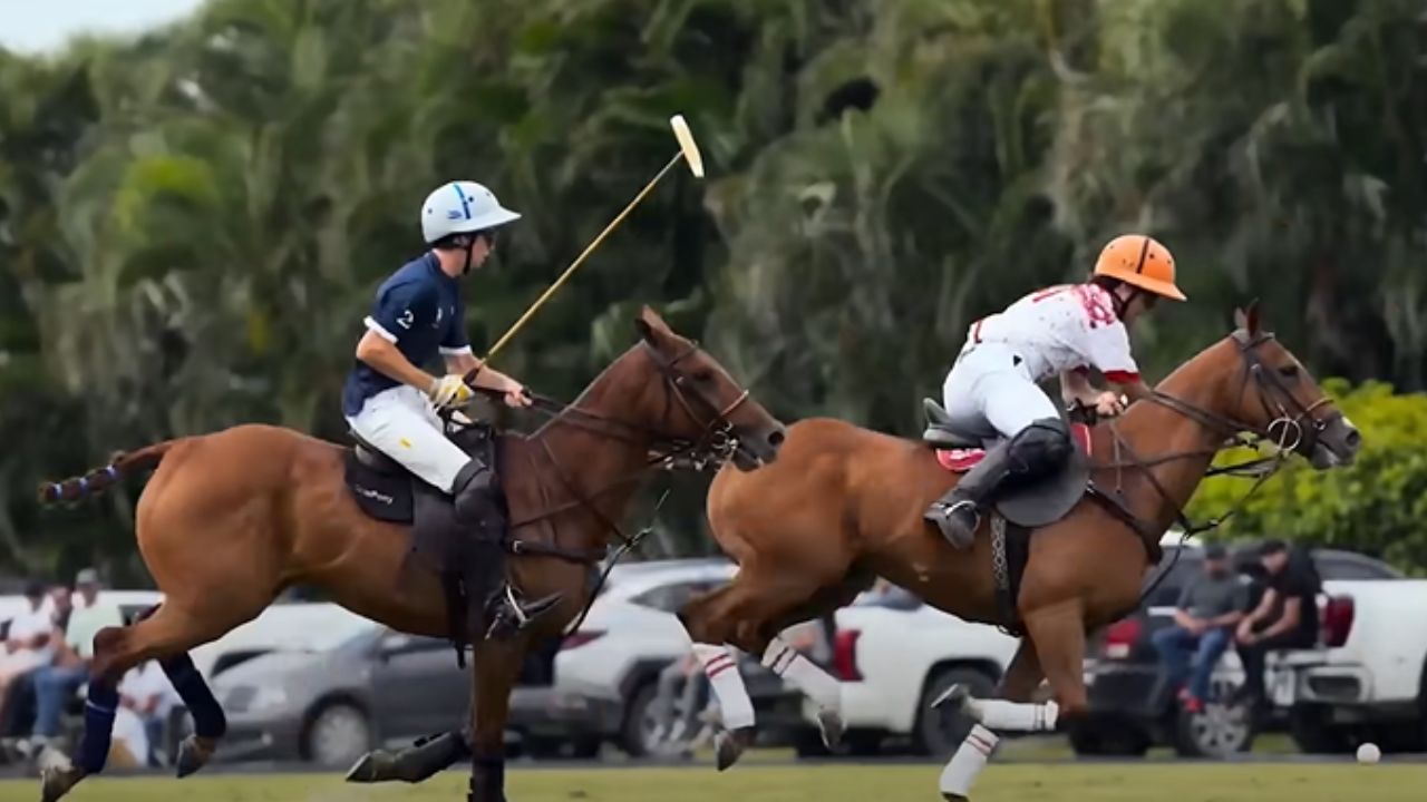 Polo (via YouTube/Netflix)